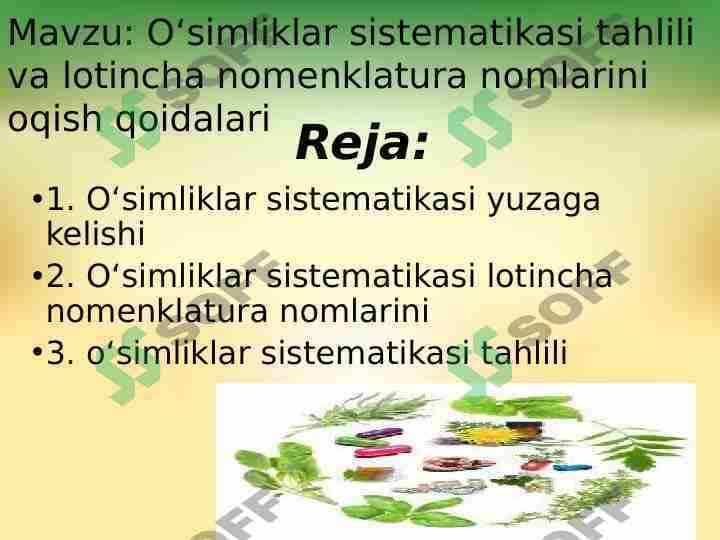 2-Oʻsimliklar sistematikasi tahlili va lotincha nomenklatura nomlarini oqish qoidalari