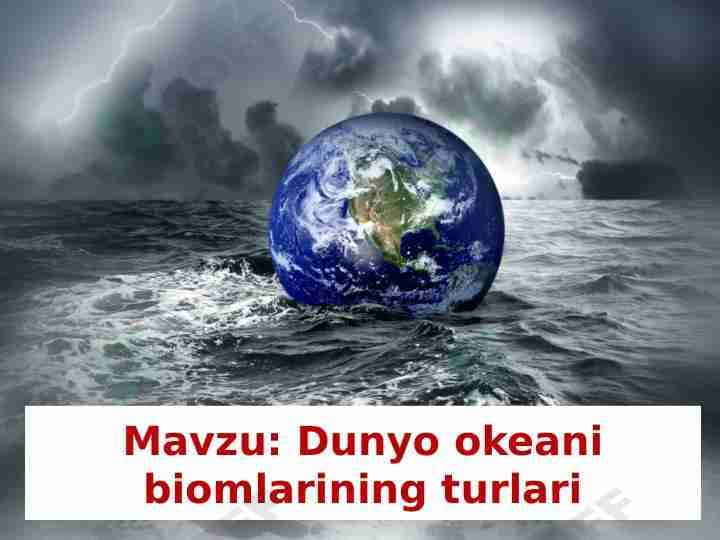 dunyo okeani biomlarining turlari