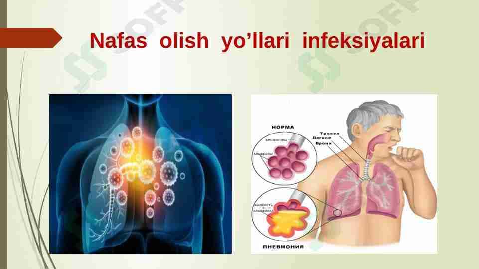 Nafas olish organlarining kasalliklari .