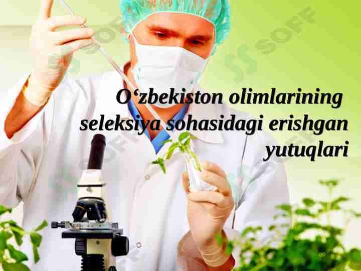 O‘zbekiston olimlarining seleksiya sohasidagi erishgan yutuqlari