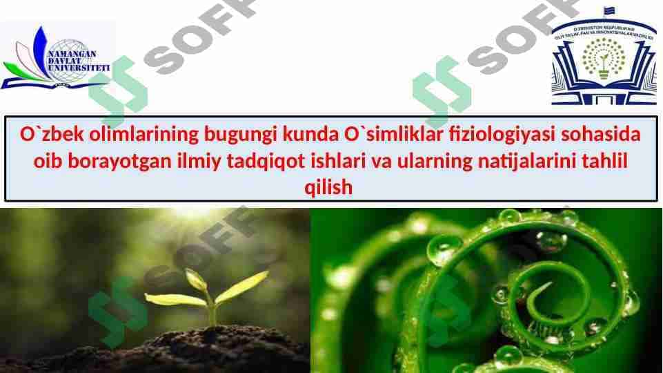 O`zbek olimlarining bugungi kunda O`simliklar fiziologiyasi sohasida oib borayotgan ilmiy tadqiqot ishlari va ularning natijalarini tahlil qilish