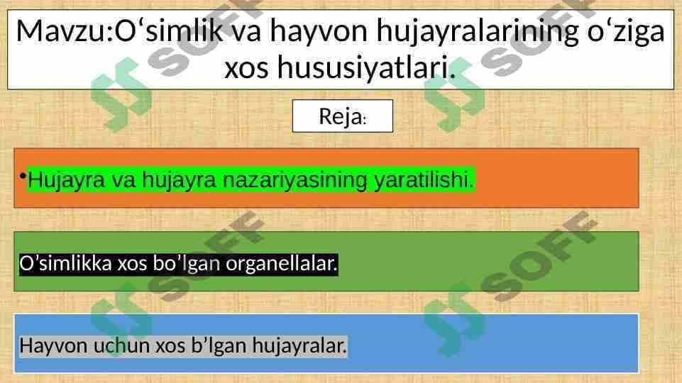 Oʻsimlik va hayvon hujayralarining oʻziga xos hususiyatlari