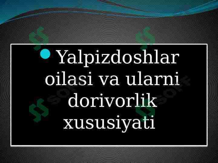 Yalpizdoshlar oilasi va ularni dorivorlik xususiyati
