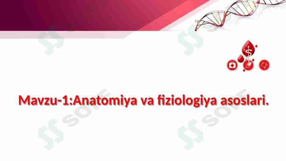 Odam anatomiyasi va fiziologiyasi.