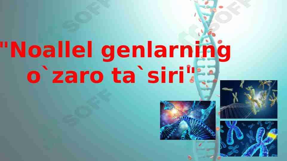 Noallel genlarning o`zaro ta’siri