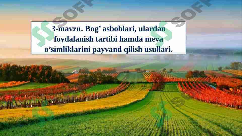 Bog’ asboblari, ulardan foydalanish tartibi hamda meva o’simliklarini payvand qilish usullari.