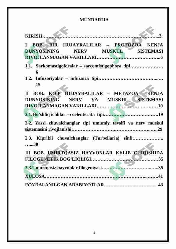 Muskul va nerv sistemasi rivojlanmagan hayvonlar
