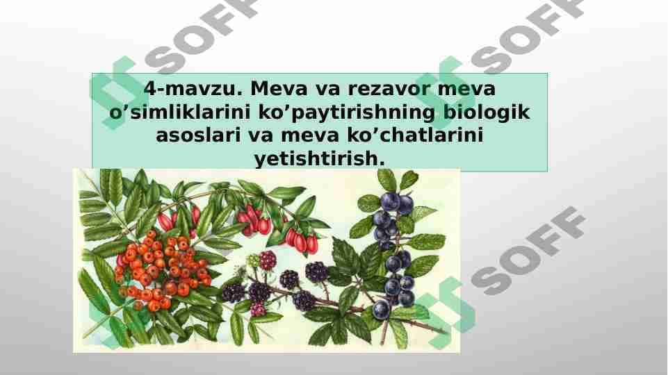Meva va rezavor meva o’simliklarini ko’paytirishning biologik asoslari va meva ko’chatlarini yetishtirish.