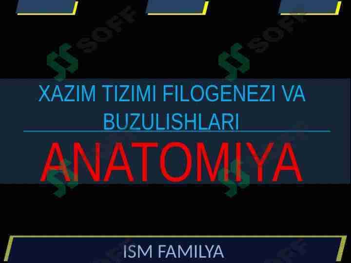 XAZIM TIZIMI FILOGENEZI VA BUZULISHLARI