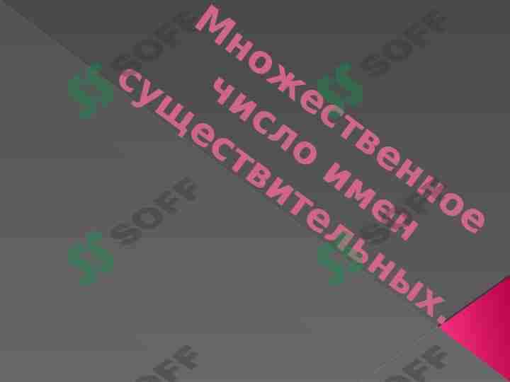 Множественное число имен существительных.