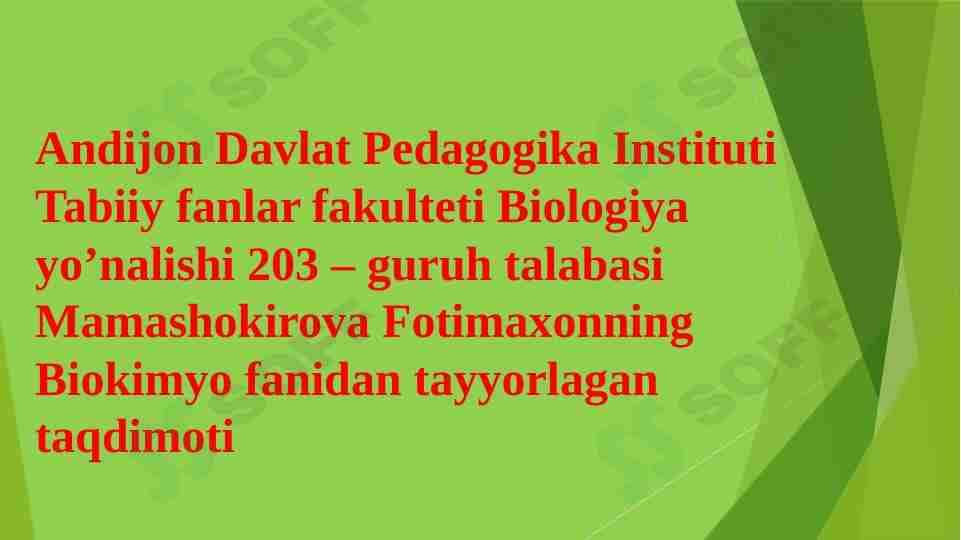 Uglevodlar, Polisaxaridlar va ularning ahamyati