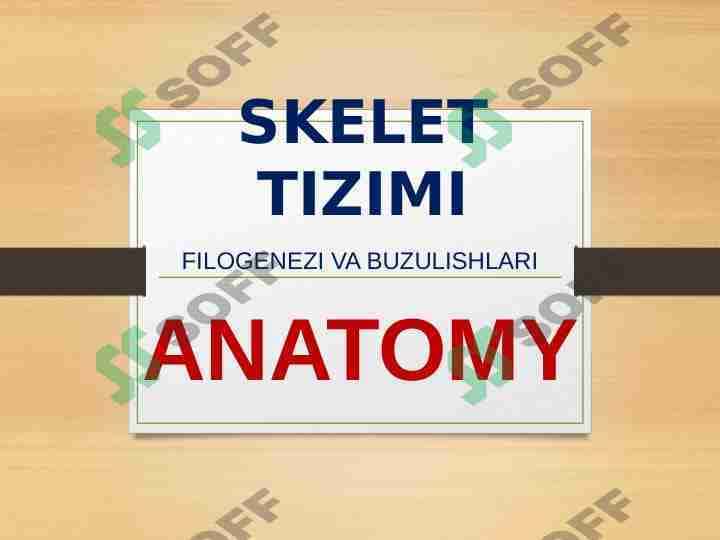 SKELET TIZIMI - FILOGENEZI VA BUZULISHLARI