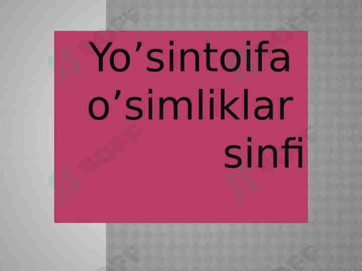 Yoʻsintoifa sinfi