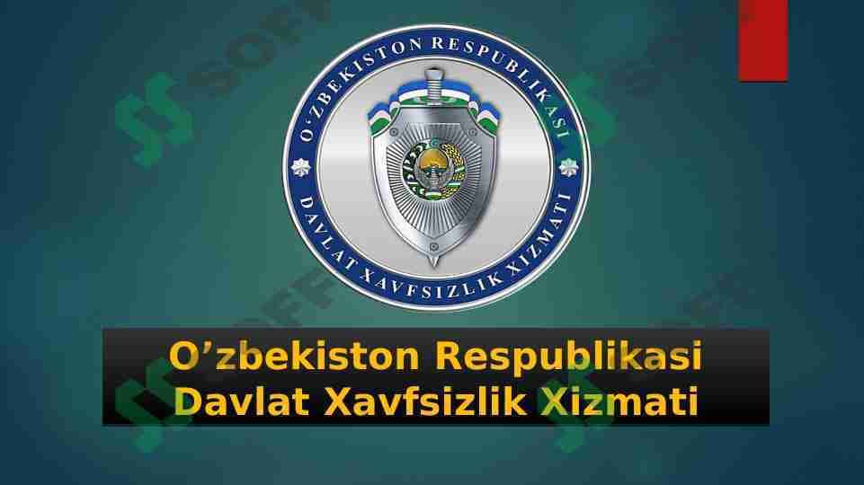 DXX ORGANI FAOLIYATI