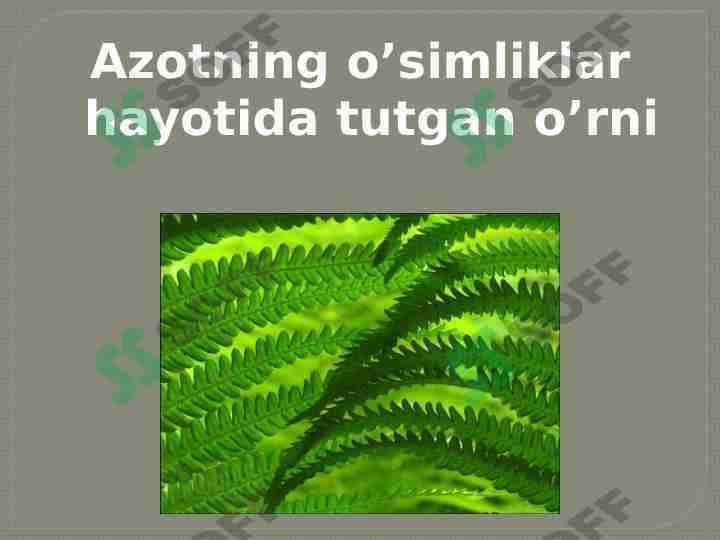 azotning o'simlik hayotida tutgan o'rni