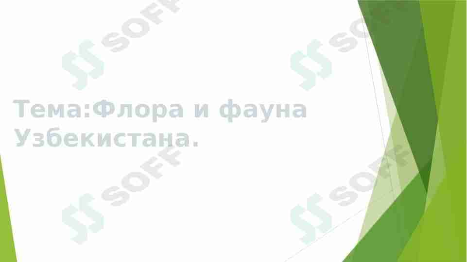 Флора и фауна Узбекистана