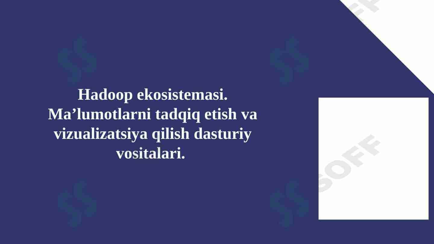 Hadoop ekosistemasi. Ma’lumotlarni tadqiq etish va vizualizatsiya qilish dasturiy vositalari