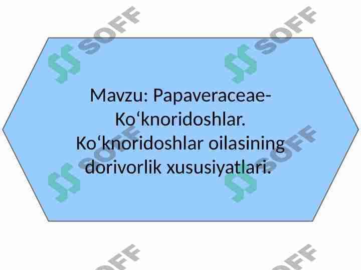 Papaveraceae-Koʻknoridoshlar. Koʻknoridoshlar oilasining dorivorlik xususiyatlari