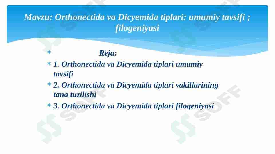orthonectida va dicyemida tiplari
