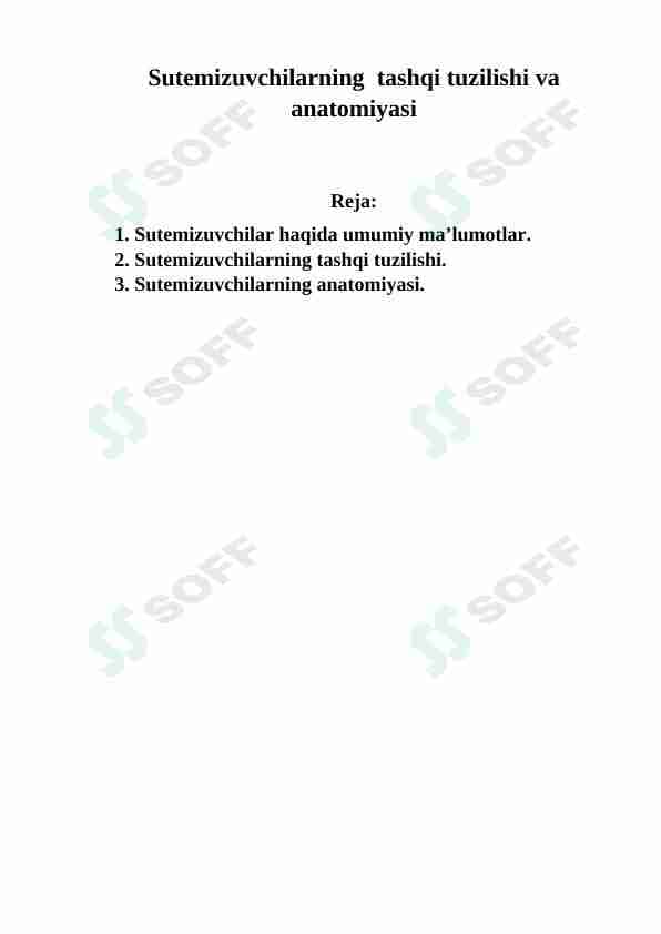 Sutemizuvchilarning  tashqi tuzilishi va anatomiyasi