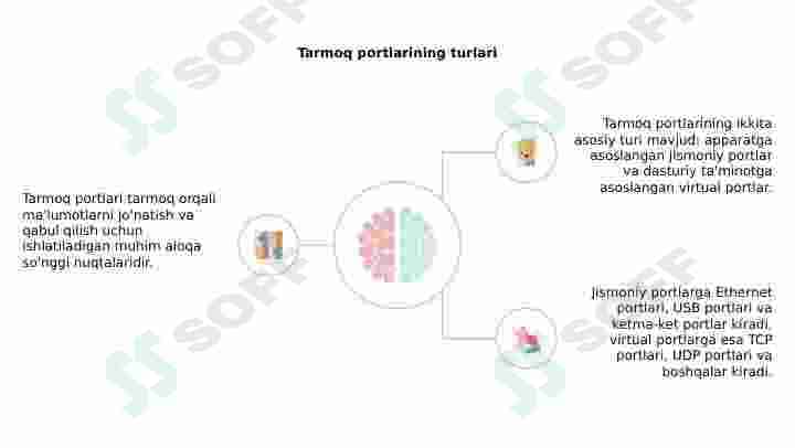 Tarmoq portlari