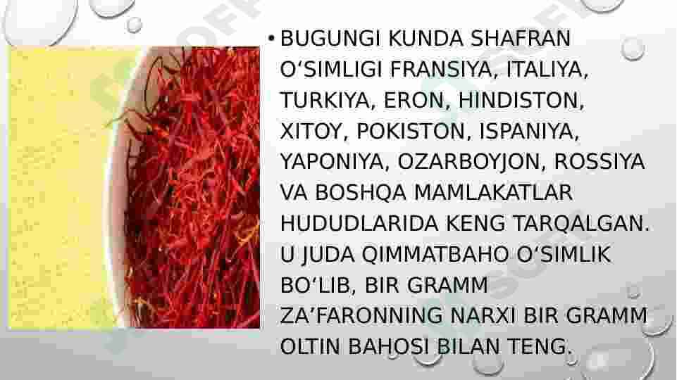 Zafaron oʻsimlik haqida
