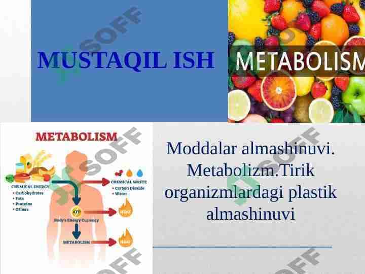 Moddalar almashinuvi. Metabolizm.Tirik organizmlardagi plastik almashinuvi