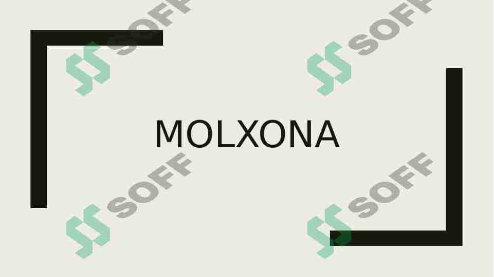 MOLXONA (roman)