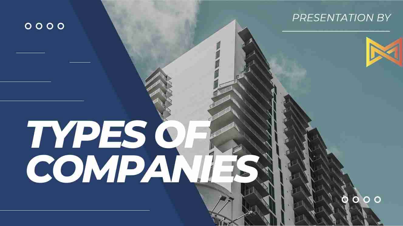 Type of companies