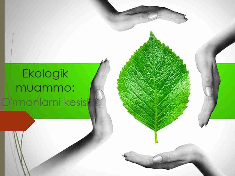 O'rmonlarni kesish