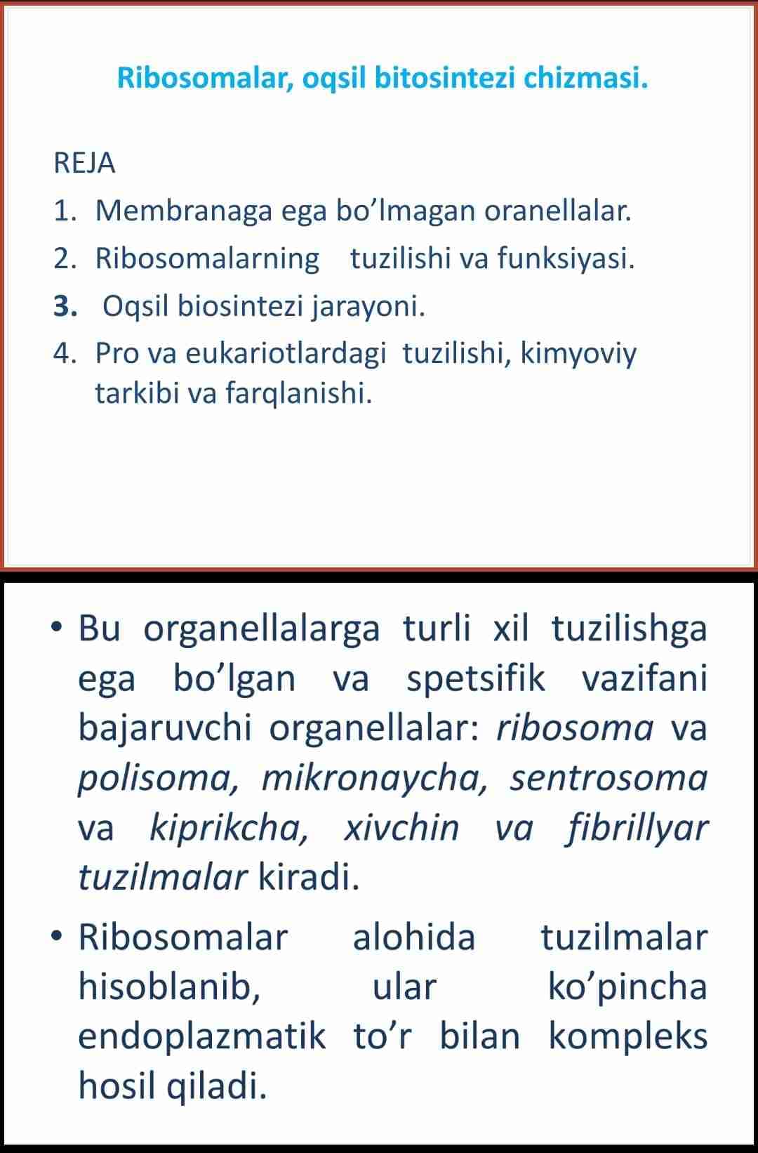 Ribosomalar, oqsil bitosintezi chizmasi