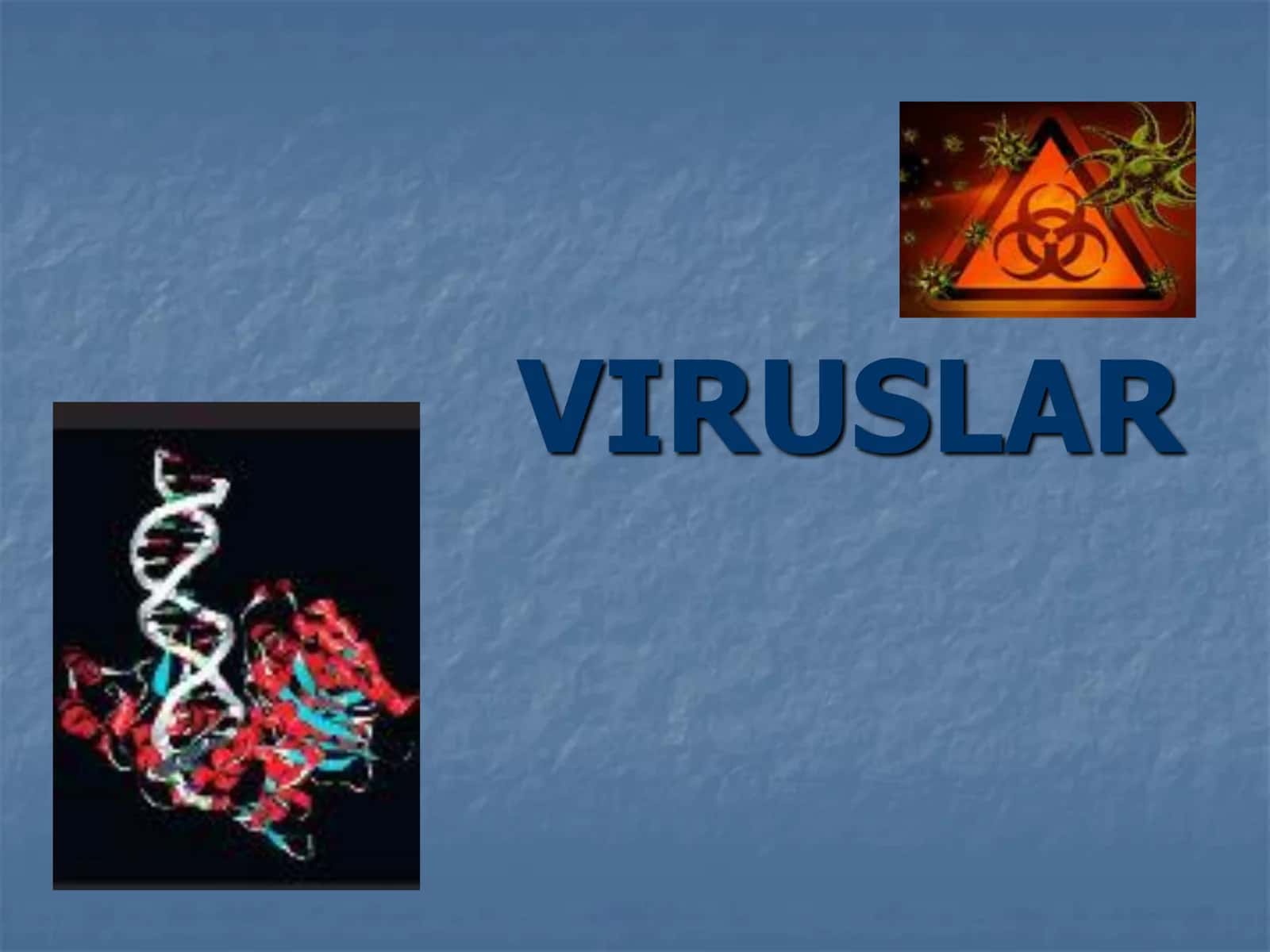 Viruslar