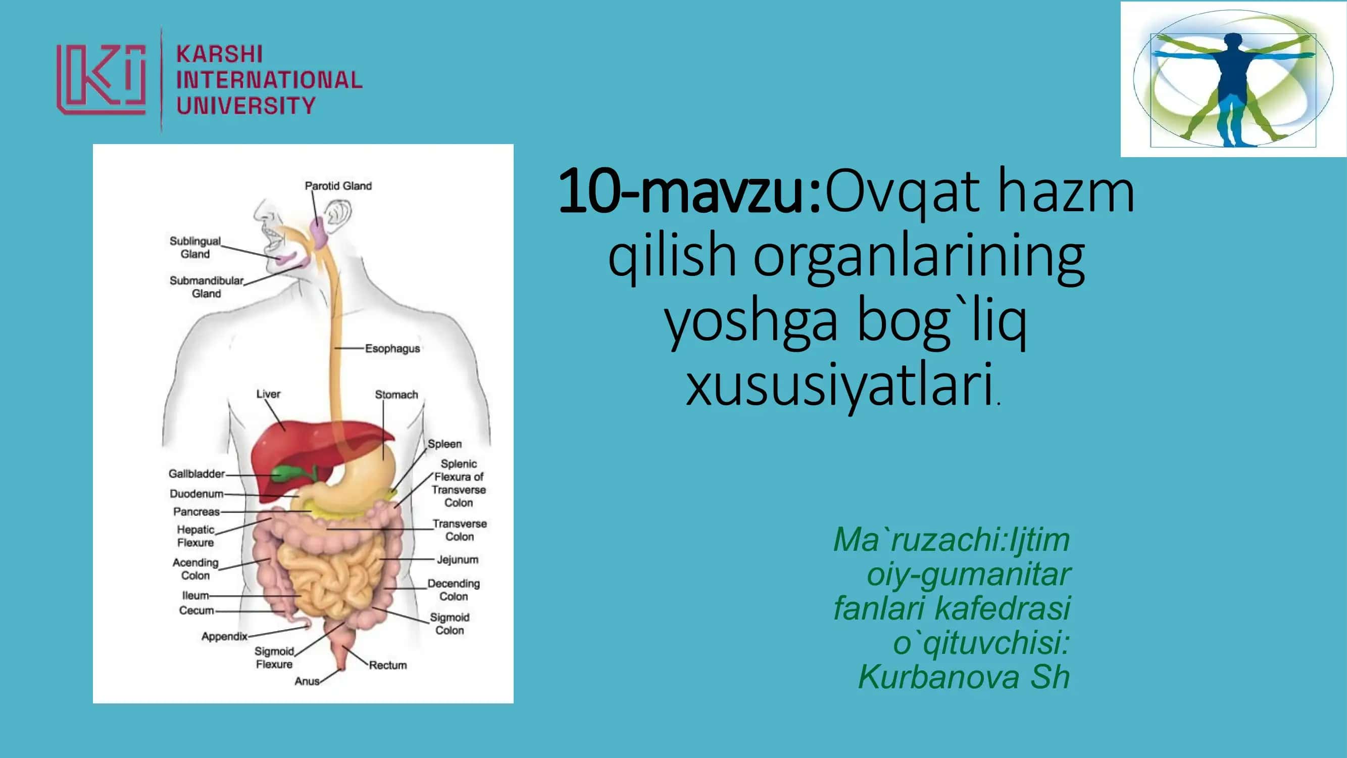 Ovqat hazmi