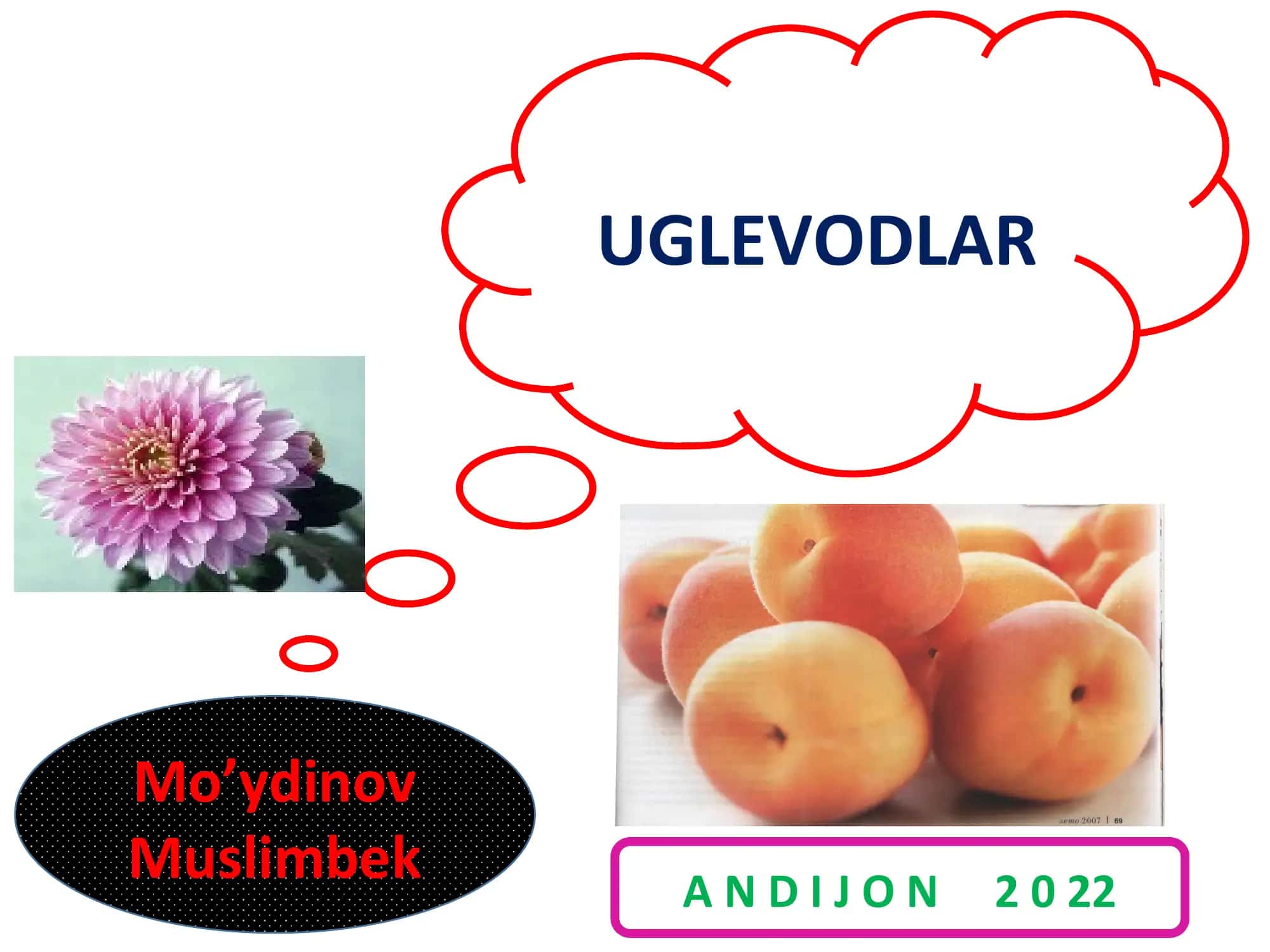 Uglevodlar