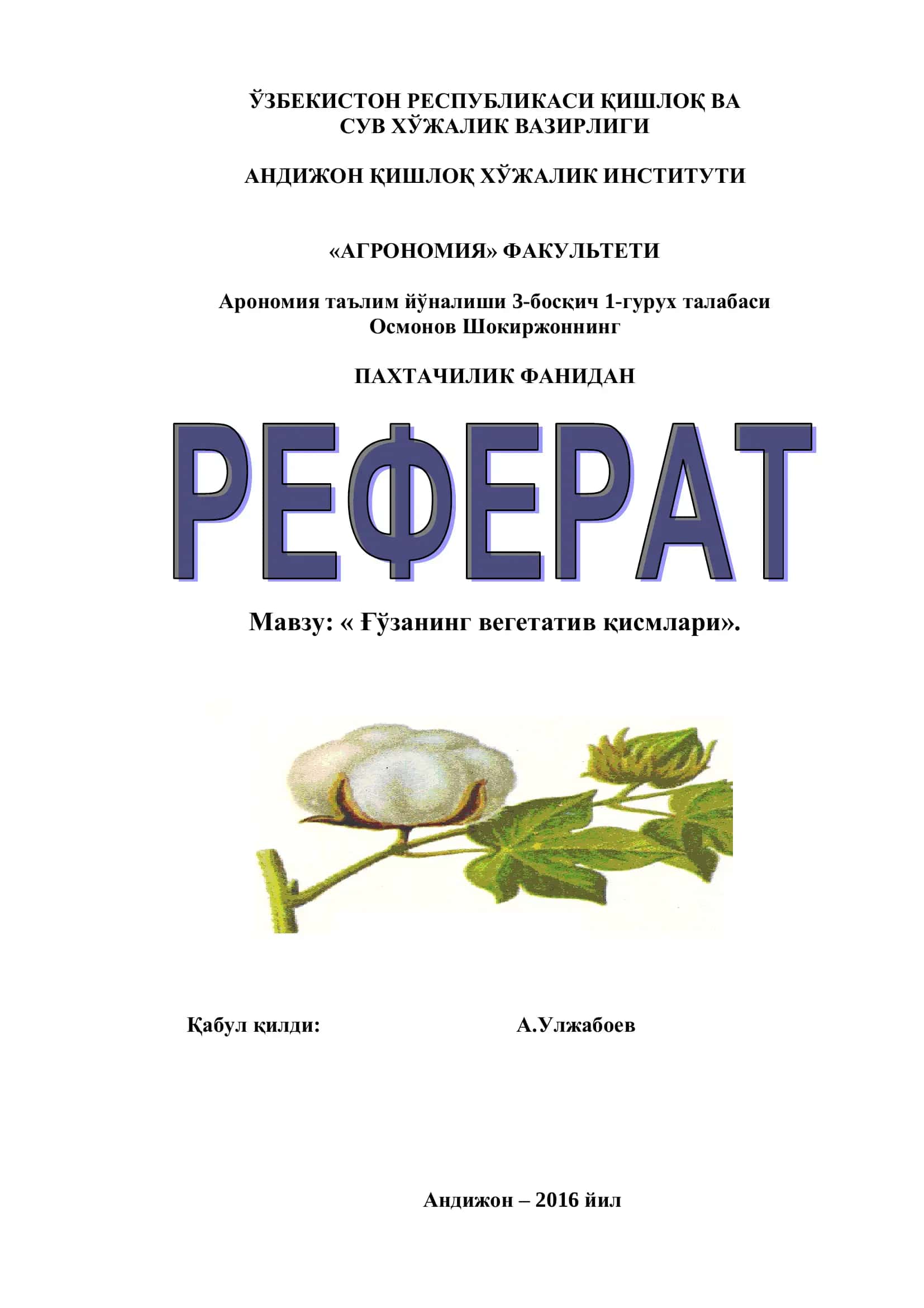 Ғўзaнинг вeгeтaтив қисмлaри
