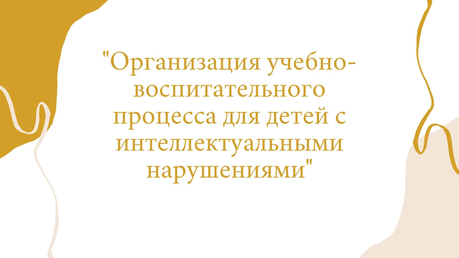 Организация учебно-воспитательного процесса для детей с интеллектуальными нарушениями"