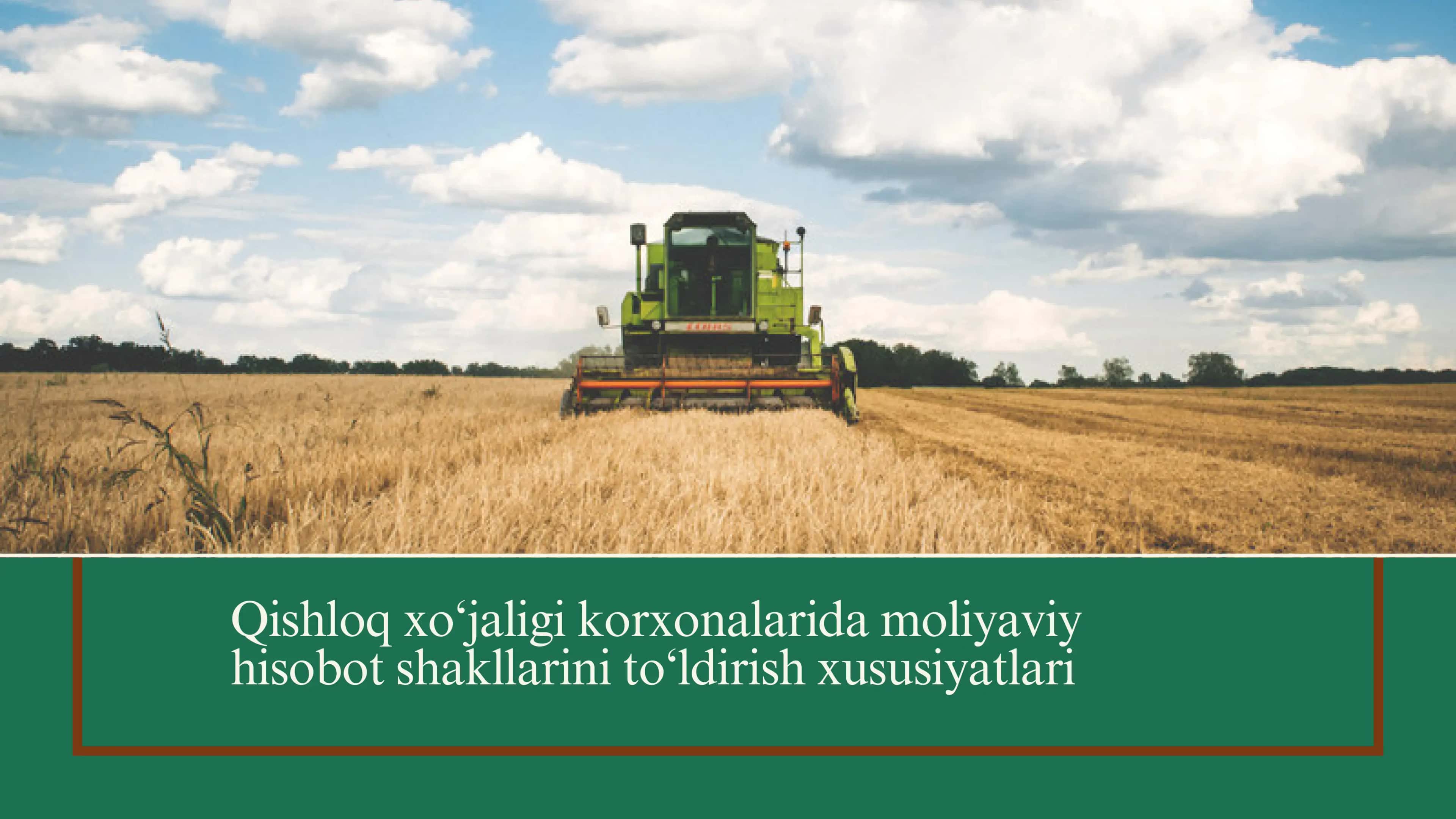 Qishloq xo‘jaligi korxonalarida moliyaviy hisobot shakllarini to‘ldirish xususiyatlari