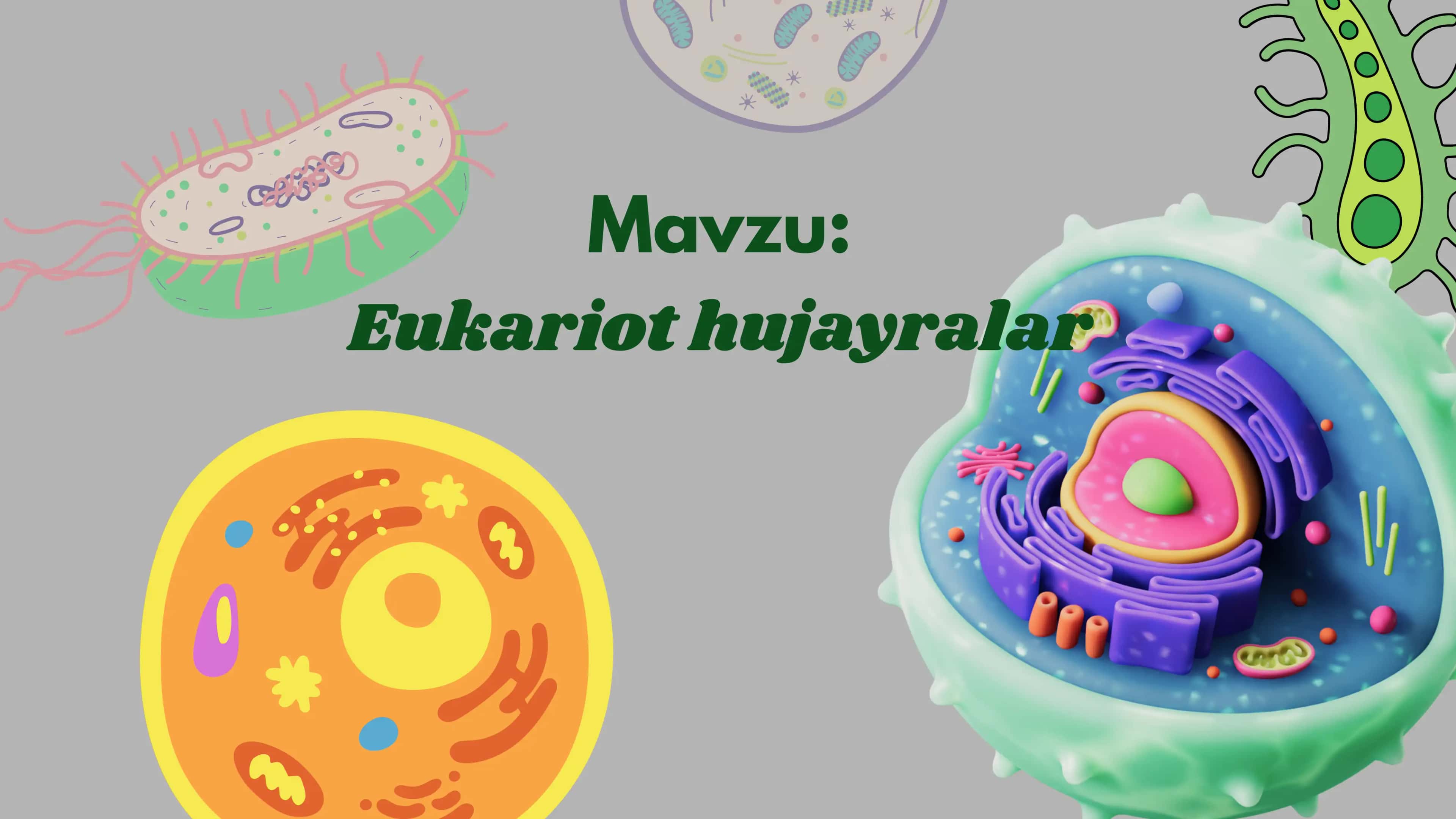 eukariot hujayralar