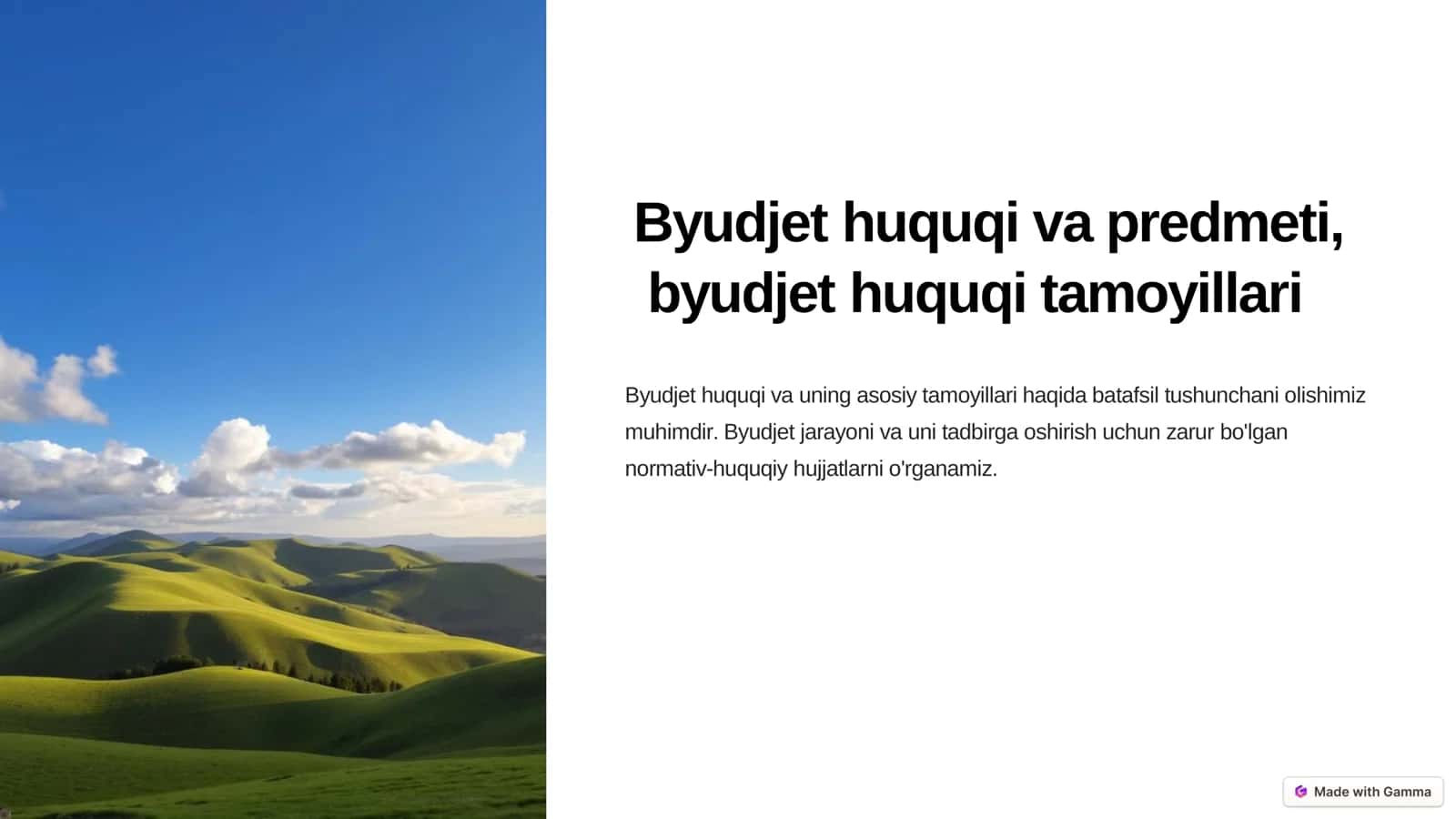 Byudjet huquqi va predmeti