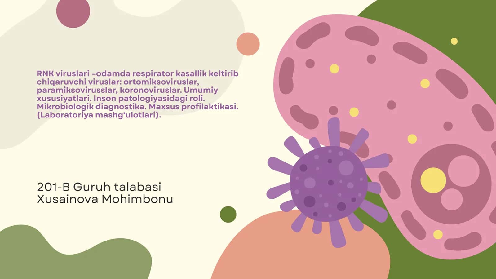 RNK viruslari –odamda respirator kasallik keltirib chiqaruvchi viruslar: ortomiksoviruslar, paramiksovirusslar, koronoviruslar. Umumiy xususiyatlari. Inson patologiyasidagi roli. Mikrobiologik diagnostika. Maxsus profilaktikasi. (Laboratoriya mashg‘ulotlari)