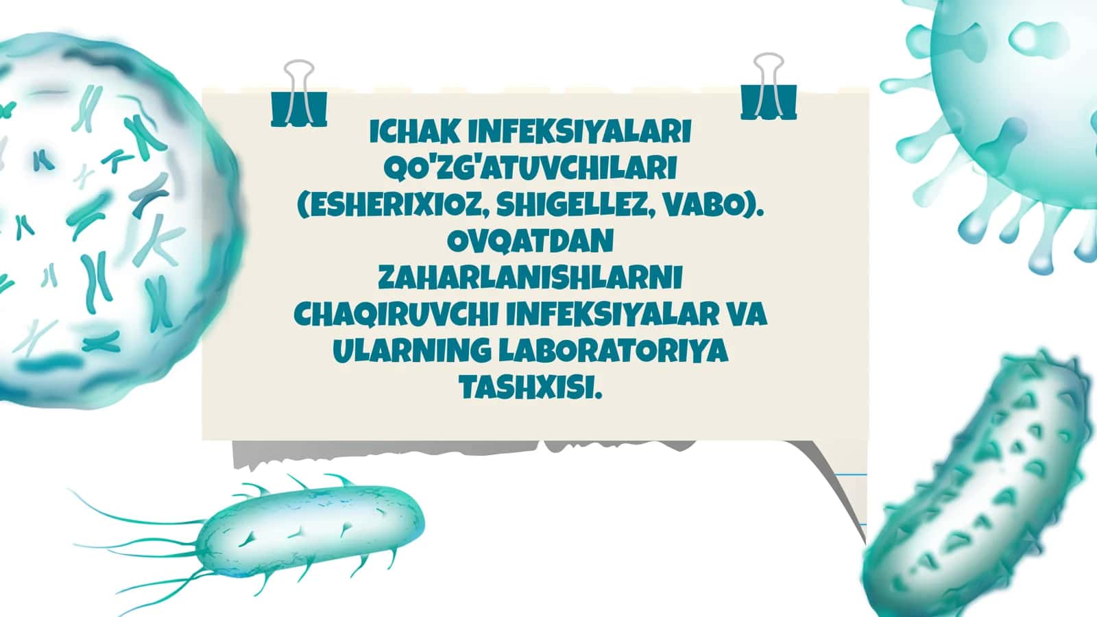 ICHAK INFEKSIYALARI QO'ZG'ATUVCHILARI (ESHERIXIOZ, SHIGELLEZ, VABO). OVQATDAN ZAHARLANISHLARNI CHAQIRUVCHI INFEKSIYALAR VA ULARNING LABORATORIYA TASHXISI