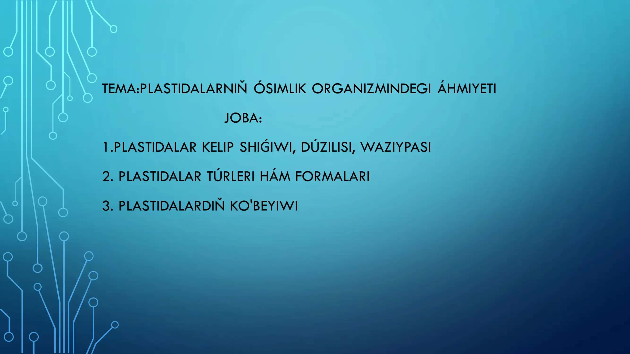 PLASTIDALAR