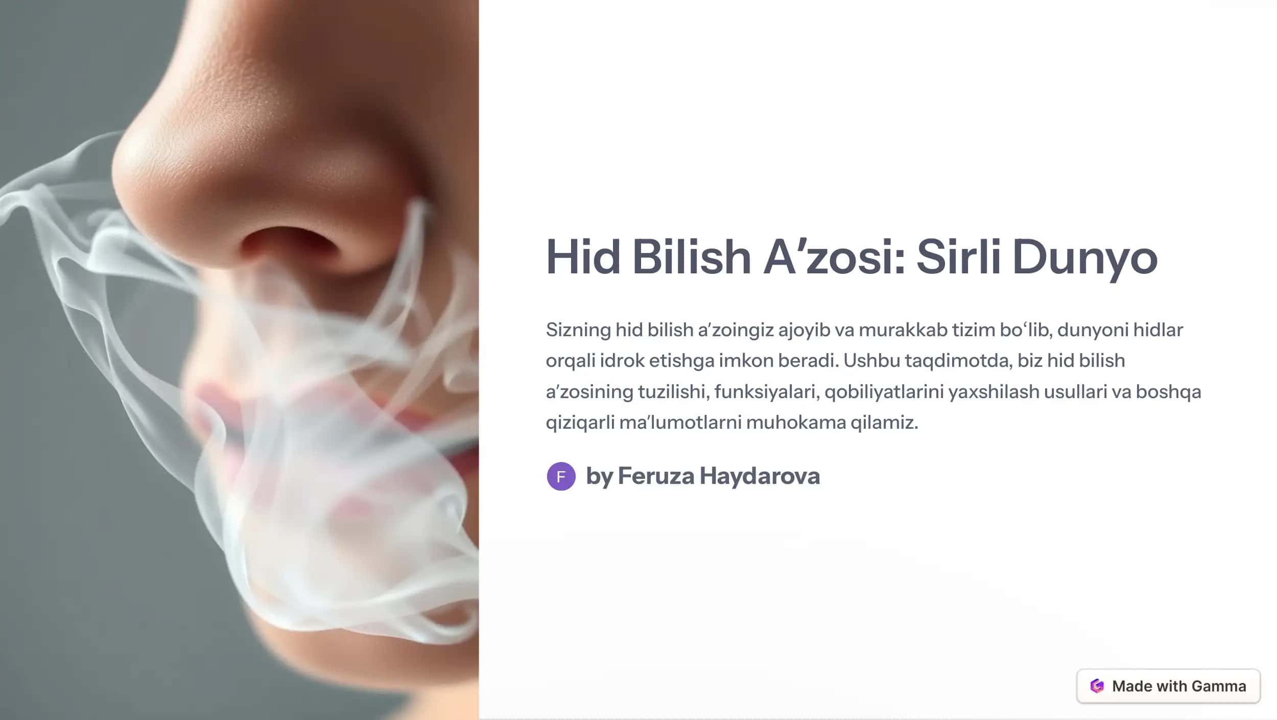Hid Bilish Aʼzosi: Sirli Dunyo