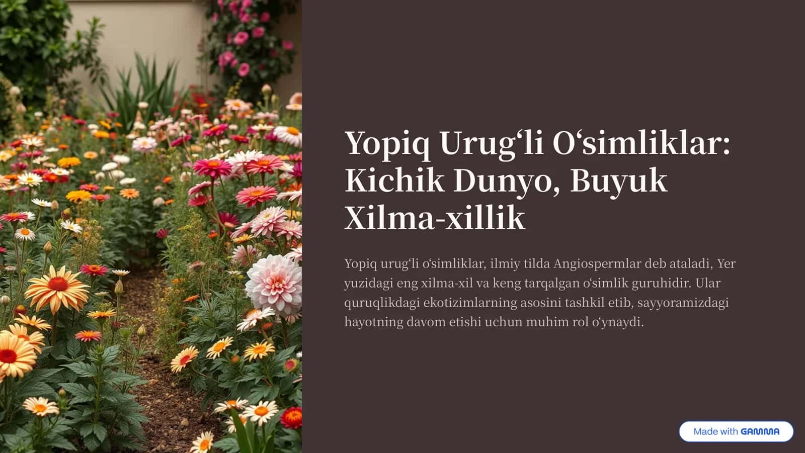 Yopiq Urug»li O»simliklar