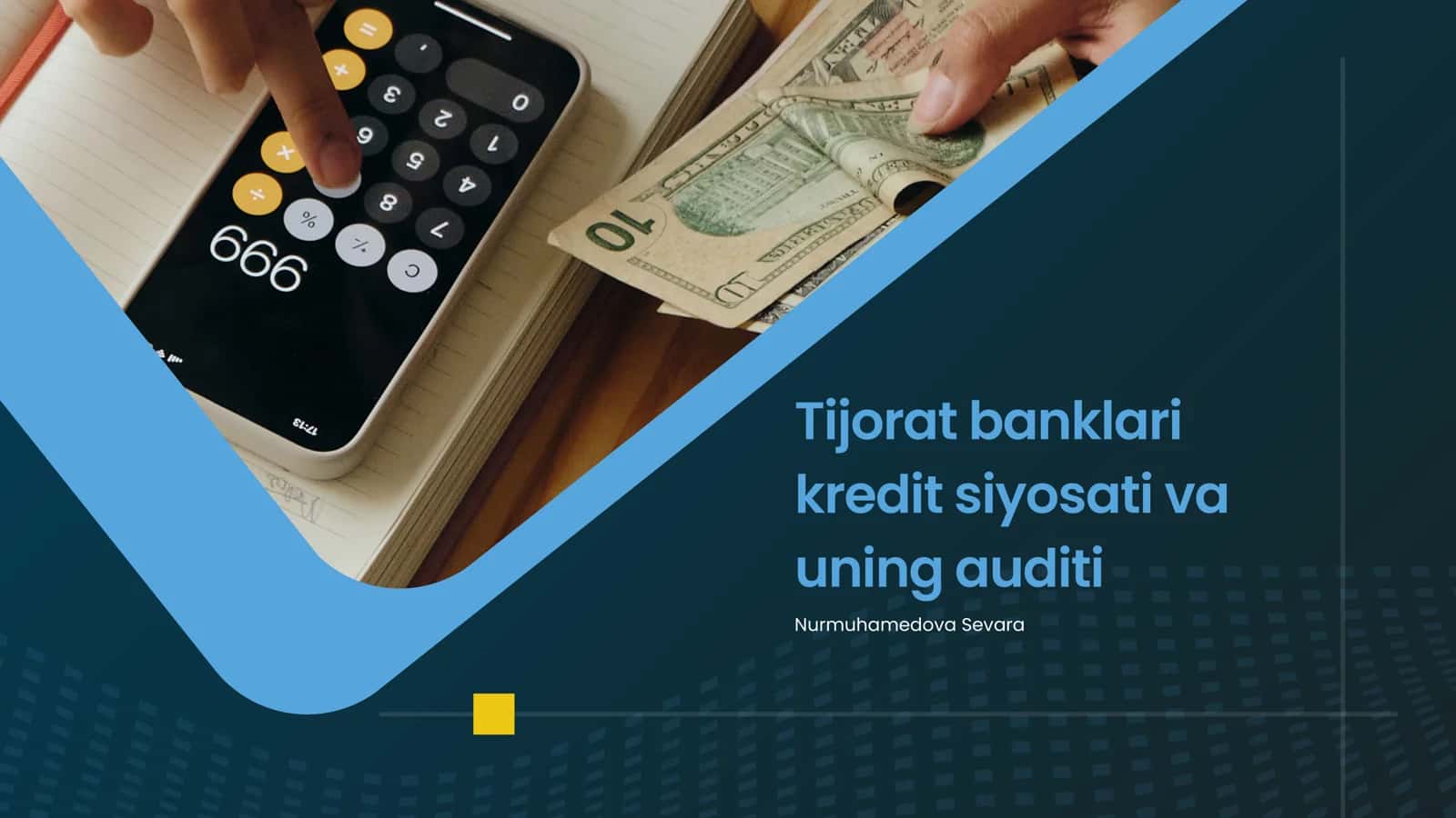 Tijorat banklari kredit siyosati va uning auditi