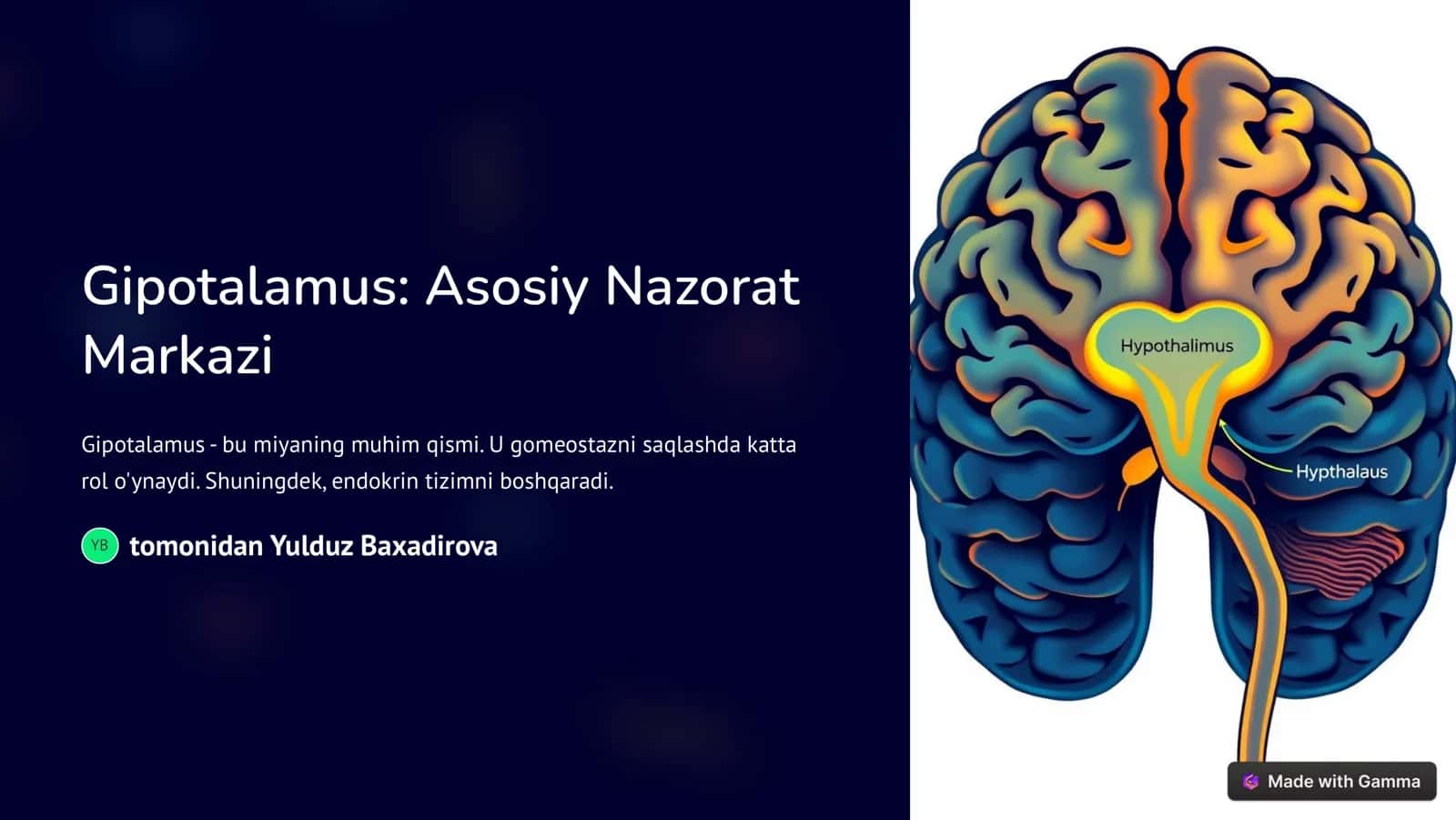 Gipotalamus: Asosiy Nazorat Markazi