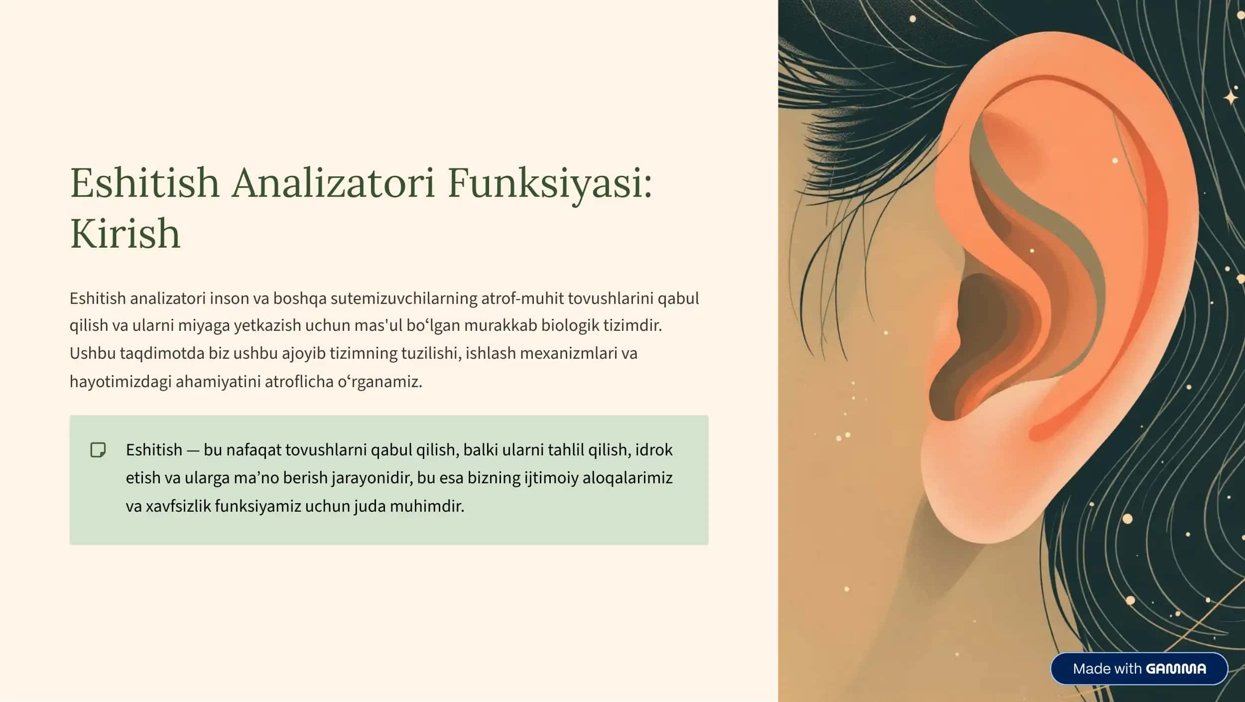 Eshitish Analizatori Funksiyasi