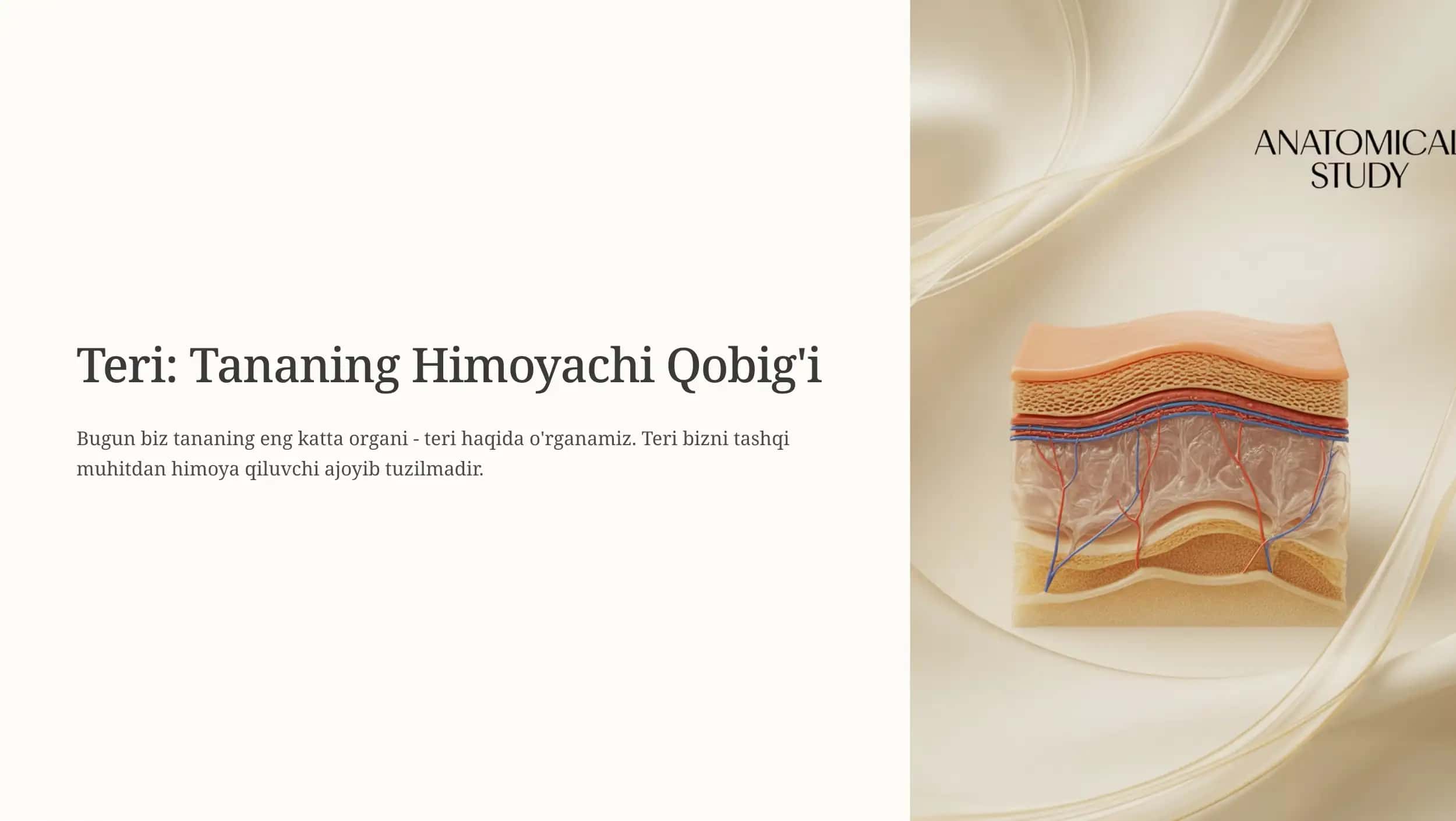 Teri: Tananing Himoyachi Qobig'i