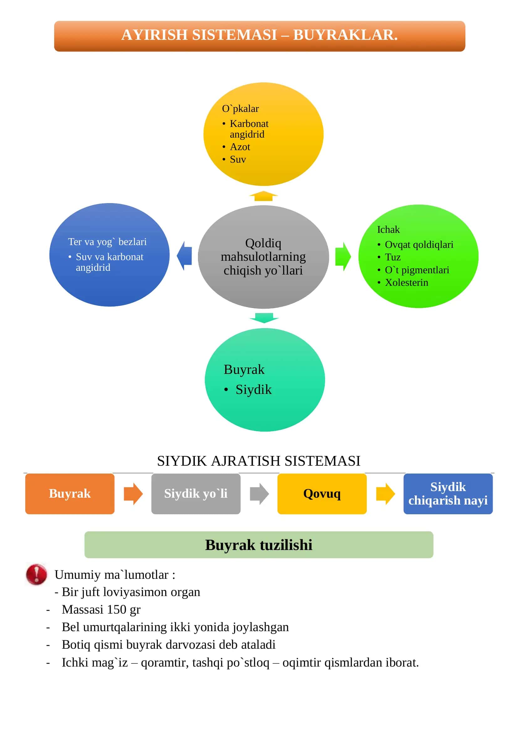 AYIRISH SISTEMASI – BUYRAKLAR.