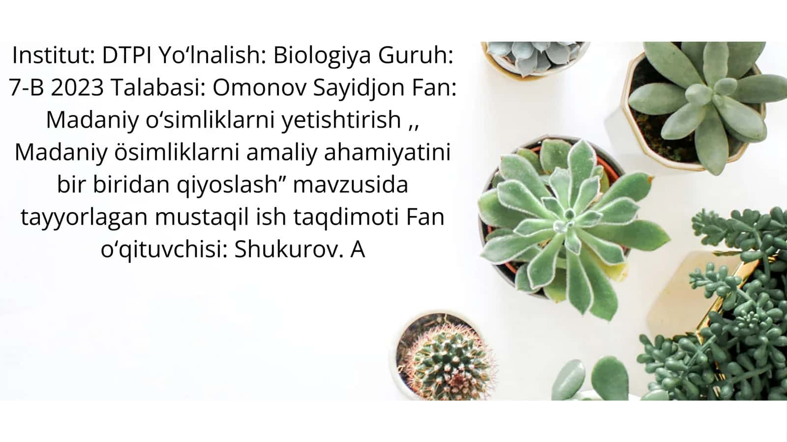 Madaniy o‘simliklarni yetishtirishni bir biridan qiyoslash